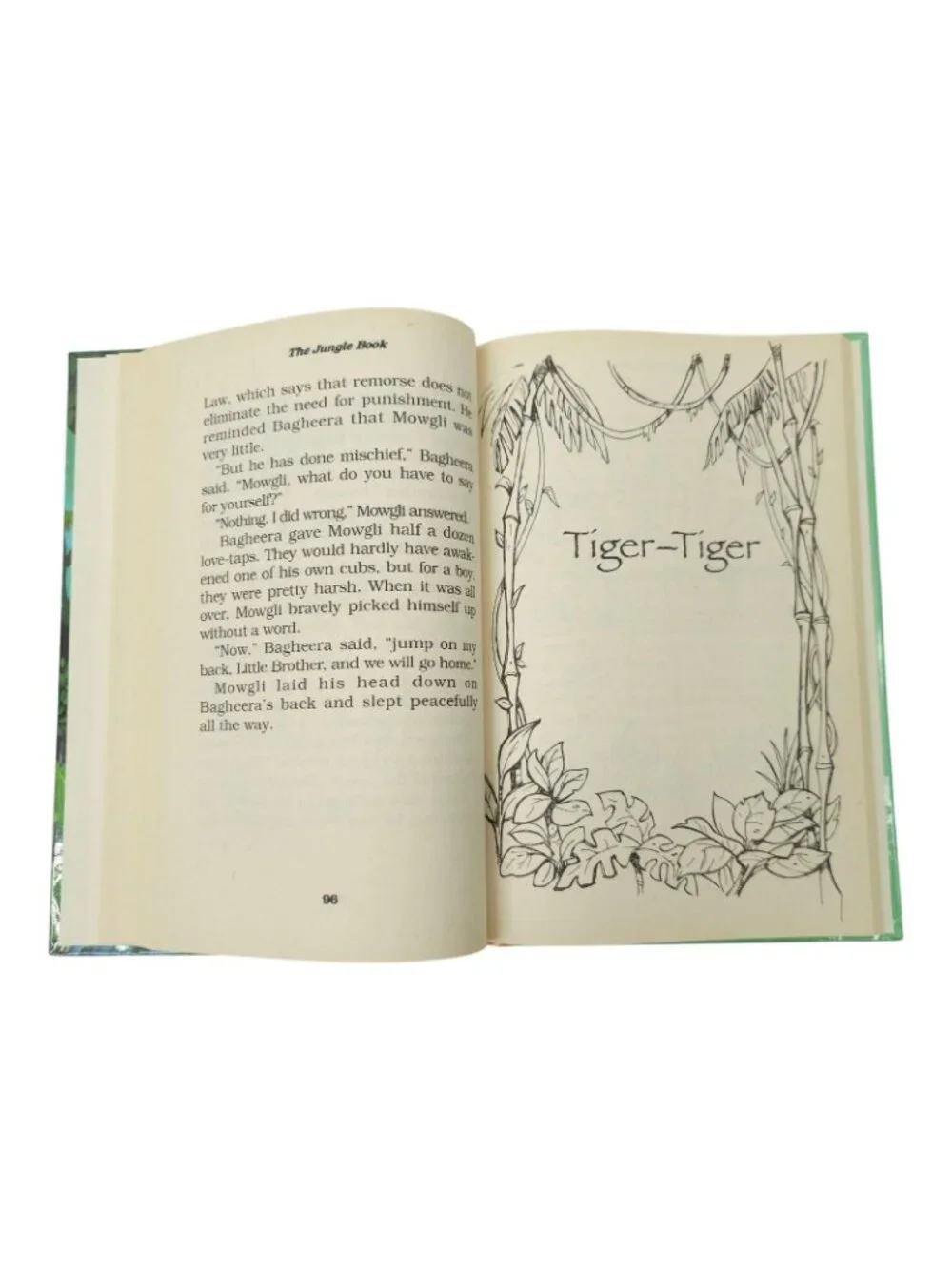 Treasury of Illustrated Classics The Jungle Book Hardcover Rudyard Kipling Kids